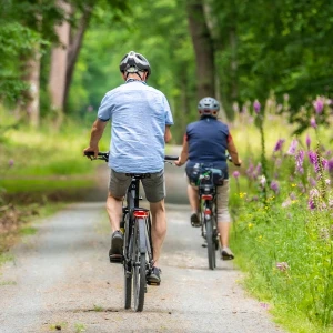 bicycle riding safari